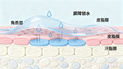 换季烂脸、洗脸刺痛紧绷？福州海峡肌盾屏障管理｜从舒缓进阶长效维稳